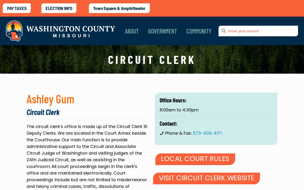 Washington County Circuit Clerk criminal case webpage